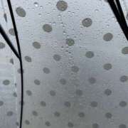 ヒメ日記 2026/04/27 09:30 投稿 島田　彩 エンジェルコースト