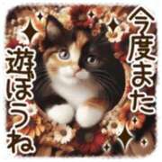 ヒメ日記 2026/06/11 22:20 投稿 島田　彩 エンジェルコースト