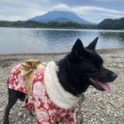 ヒメ日記 2026/07/14 08:02 投稿 島田　彩 エンジェルコースト