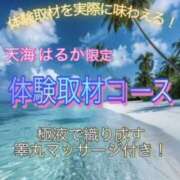 ヒメ日記 2026/07/15 11:30 投稿 島田　彩 エンジェルコースト