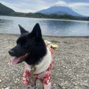 ヒメ日記 2026/09/02 08:41 投稿 島田　彩 エンジェルコースト