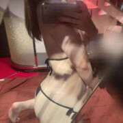 ヒメ日記 2025/03/16 00:02 投稿 らん ごほうびSPA名古屋店