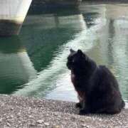 ヒメ日記 2024/12/18 17:28 投稿 しょうの エレガンス(広島)