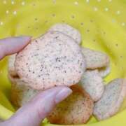 ヒメ日記 2025/01/04 16:28 投稿 しょうの エレガンス(広島)