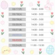 ヒメ日記 2025/03/16 14:08 投稿 しょうの エレガンス(広島)