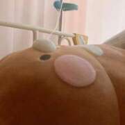 ヒメ日記 2025/05/02 12:48 投稿 しょうの エレガンス(広島)