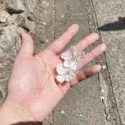 ヒメ日記 2025/09/14 23:05 投稿 しょうの エレガンス(広島)