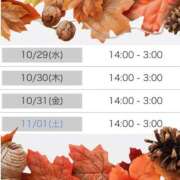 ヒメ日記 2025/10/23 18:08 投稿 しょうの エレガンス(広島)