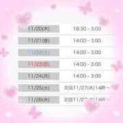 ヒメ日記 2025/11/15 16:08 投稿 しょうの エレガンス(広島)