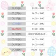 ヒメ日記 2026/03/24 19:30 投稿 しょうの エレガンス(広島)