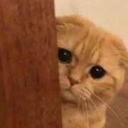 ヒメ日記 2025/11/12 15:44 投稿 天野ちか☆超絶美女 ESTE ALLURE