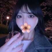 ヒメ日記 2025/04/13 23:22 投稿 夢眠るか☆透き通るＳ級美女 ESTE ALLURE