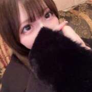 ヒメ日記 2025/11/20 19:14 投稿 夢眠るか☆透き通るＳ級美女 ESTE ALLURE