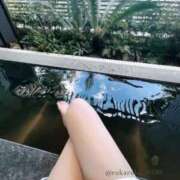 ヒメ日記 2025/12/13 07:04 投稿 夢眠るか☆透き通るＳ級美女 ESTE ALLURE