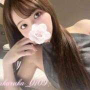 ヒメ日記 2026/06/30 05:41 投稿 夢眠るか☆透き通るＳ級美女 ESTE ALLURE