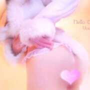 ヒメ日記 2024/12/22 09:48 投稿 るりの(昭和44年生まれ) 熟年カップル名古屋～生電話からの営み～