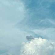 ことは お休みしてます( ･ ･̥ ) 2980円