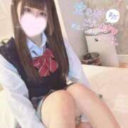 ヒメ日記 2025/02/09 18:46 投稿 のえる C.C.CATS