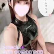 ヒメ日記 2025/03/10 17:07 投稿 のえる C.C.CATS