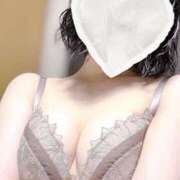 ヒメ日記 2024/12/12 13:46 投稿 らな 上野ハンドメイド