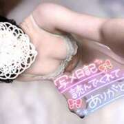 ヒメ日記 2025/01/14 16:39 投稿 らな 上野ハンドメイド