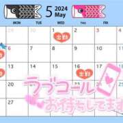 ヒメ日記 2024/04/28 13:08 投稿 雫（しずく） NOA（ノア）