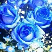 ヒメ日記 2025/03/11 17:03 投稿 こゆき モアグループ熊谷人妻花壇