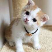 ヒメ日記 2025/03/14 23:03 投稿 こゆき モアグループ熊谷人妻花壇