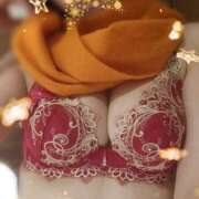 ヒメ日記 2024/12/17 07:41 投稿 高城さら ダリア