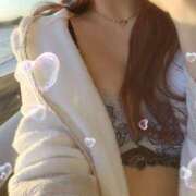 ヒメ日記 2024/12/19 07:51 投稿 高城さら ダリア