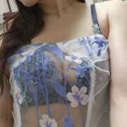 ヒメ日記 2025/02/12 06:31 投稿 高城さら ダリア