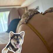 ヒメ日記 2025/04/09 09:02 投稿 高城さら ダリア