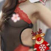 ヒメ日記 2025/11/12 09:21 投稿 高城さら ダリア