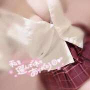 ヒメ日記 2026/02/19 17:26 投稿 まろん エンジェルハンズ