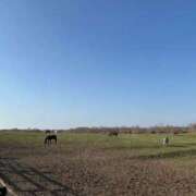 ヒメ日記 2025/05/31 23:32 投稿 まな Mrs Sirena（ミセスシレナ）