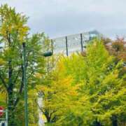 ヒメ日記 2025/10/19 15:37 投稿 まな Mrs Sirena（ミセスシレナ）