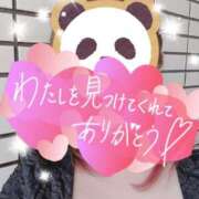 芹澤なぎさ 芹澤です 五十路マダムエクスプレス横浜店（カサブランカグループ）