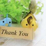 ヒメ日記 2025/01/12 16:50 投稿 涼風桜 五十路マダムエクスプレス横浜店（カサブランカグループ）