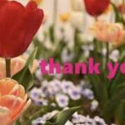 ヒメ日記 2025/01/25 12:30 投稿 涼風桜 五十路マダムエクスプレス横浜店（カサブランカグループ）