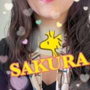 ヒメ日記 2025/08/23 11:20 投稿 涼風桜 五十路マダムエクスプレス横浜店（カサブランカグループ）