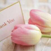 ヒメ日記 2025/08/23 15:26 投稿 涼風桜 五十路マダムエクスプレス横浜店（カサブランカグループ）