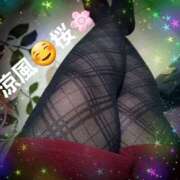 ヒメ日記 2025/11/04 10:08 投稿 涼風桜 五十路マダムエクスプレス横浜店（カサブランカグループ）