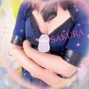 ヒメ日記 2025/11/07 10:06 投稿 涼風桜 五十路マダムエクスプレス横浜店（カサブランカグループ）