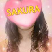 ヒメ日記 2025/11/10 11:44 投稿 涼風桜 五十路マダムエクスプレス横浜店（カサブランカグループ）