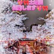 ヒメ日記 2025/04/24 18:04 投稿 華純まい子 五十路マダムエクスプレス横浜店（カサブランカグループ）