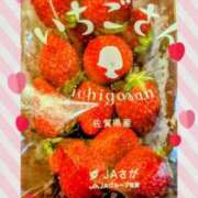 ヒメ日記 2025/04/26 00:50 投稿 華純まい子 五十路マダムエクスプレス横浜店（カサブランカグループ）