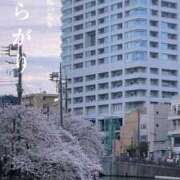 ヒメ日記 2025/04/05 13:34 投稿 新藤あいり 五十路マダムエクスプレス横浜店（カサブランカグループ）