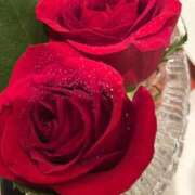 ヒメ日記 2026/02/18 01:08 投稿 新藤あいり 五十路マダムエクスプレス横浜店（カサブランカグループ）