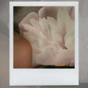 ヒメ日記 2026/04/10 23:24 投稿 新藤あいり 五十路マダムエクスプレス横浜店（カサブランカグループ）