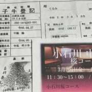 ヒメ日記 2026/03/22 17:42 投稿 東條あさこ 五十路マダムエクスプレス横浜店（カサブランカグループ）